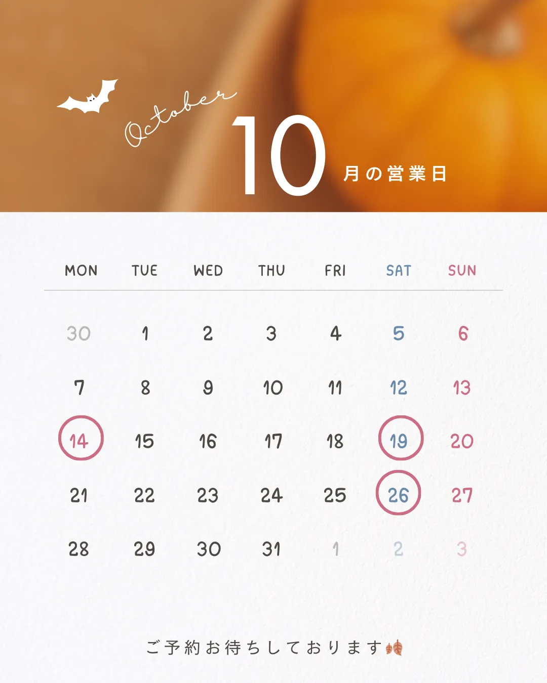 秋になってきた？