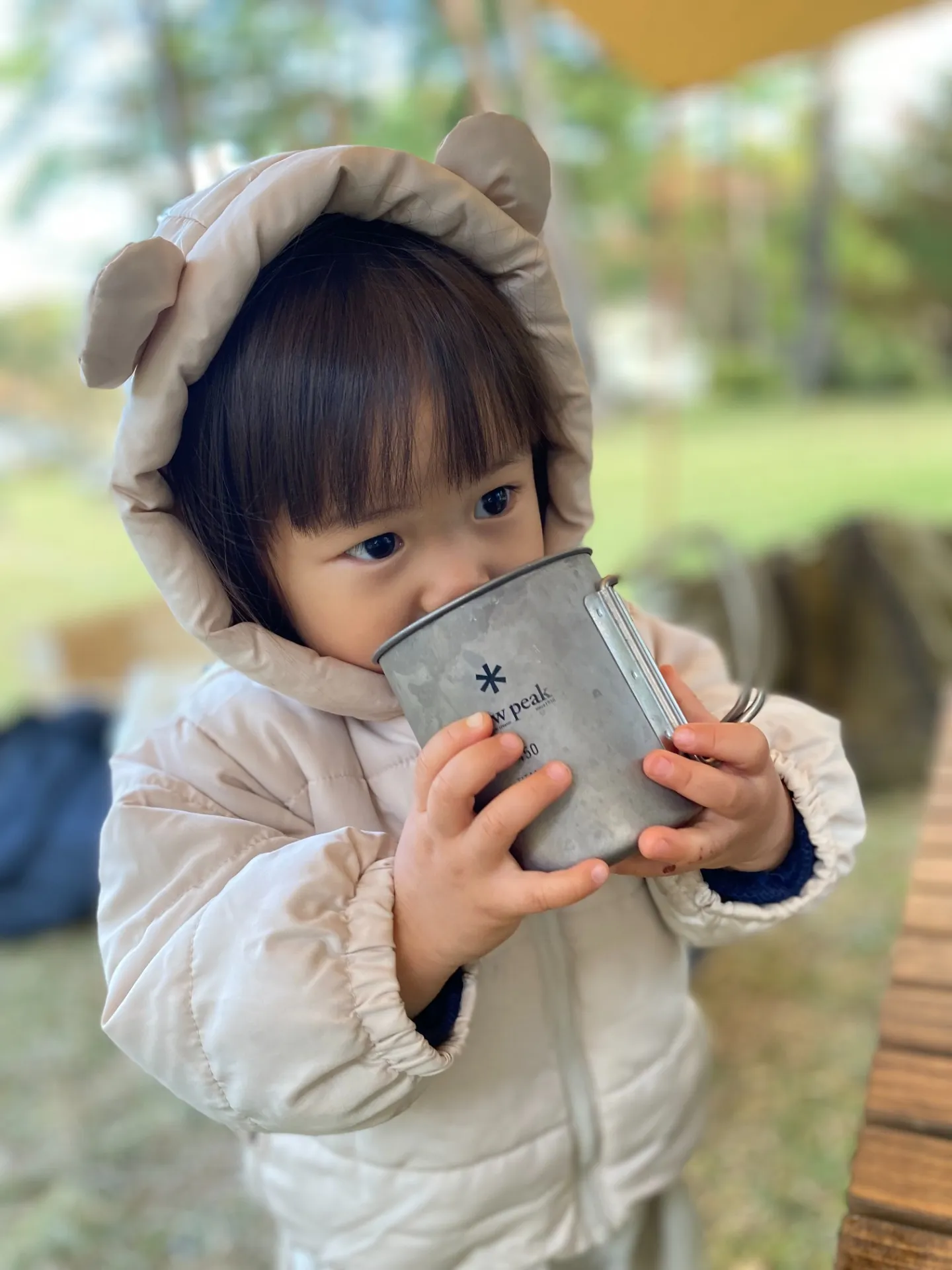 キャンプの季節